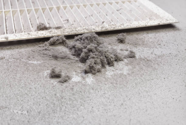Best Affordable Duct Cleaning Services  in Warner, OK